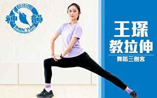 【舞蹈三剑客】适合初学者！跟着神韵海报上的明星做“动态拉伸练习” feat. 王琛