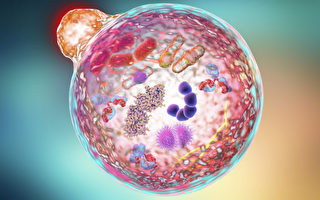 断食可损伤刺突蛋白 对抗阿尔茨海默病和癌症