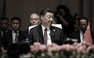 习近平喊话开放服务业 学者：需解决安全问题