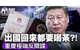 【拍案惊奇】中国股市 你还敢往里跳吗?
