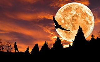 【古道人生】秀才行善得亡灵指点 接连及第成进士