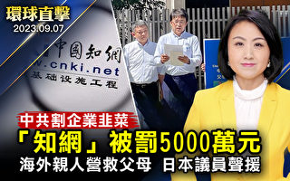 【环球直击】知网被罚五千万 分析：中共割韭菜