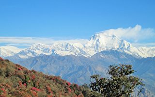 做好事遭污名他却不辩解  到底是为了什么？