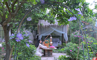 陆第一网红李子柒油管停更2年 新视频微博疯传