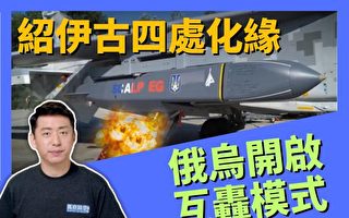 【马克时空】绍伊古访朝伊看武器 黑海舰队遭轰