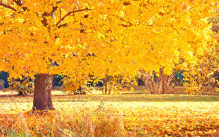 秋分：彼岸日 天地阴阳调和