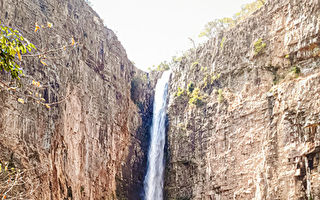 世界上最古老的木结构建筑早于人类文明