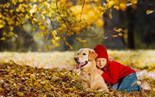 美国2岁女童走失 小狗当枕头夜宿森林