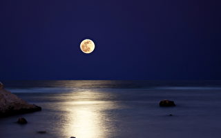 唐浩：游子秋思