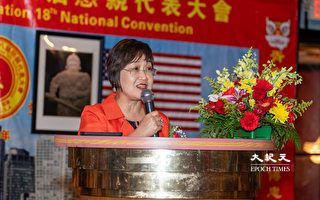 中共强化统战侨社 立委吁协助侨胞回台投票