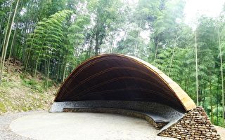 石壁竹森林疗愈园区 将呈现新面貌