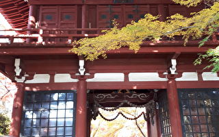 【古道人生】嫌贫爱富的妹妹要和姐姐互换未婚夫