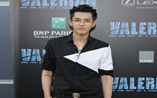 获刑13年后 吴亦凡被强制执行1800万元