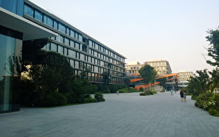 中国经济疲软 双11内卷再升级价格战更激烈