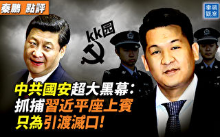 【秦鹏观察】中共国安超大黑幕：习座上宾落马