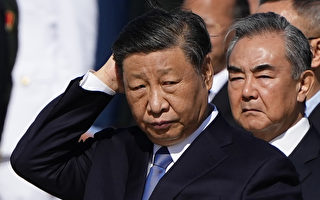 王毅挺哈马斯 微博惊现“它们不代表我”