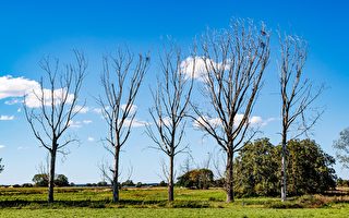 【古道人生】继母欲夺长子钱财唯天理不容