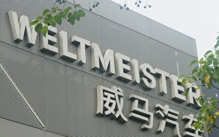 威马汽车董事长离开中国引热议 民忧车业爆雷