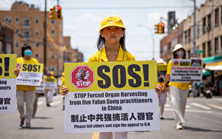 美智库：中共活摘人体器官是最恐怖的迫害