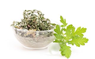 甜艾草成分强力抗病毒 曾获诺奖 竟是抗疫大功臣