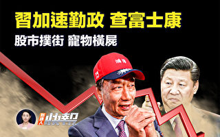 【新唐人快报】查富士康 习近平“勤政”加速