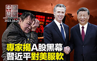 【中国禁闻】专家揭A股黑幕：制度设计就是骗人