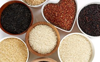 米是一味药！米中四宝补肾护肺肠胃好