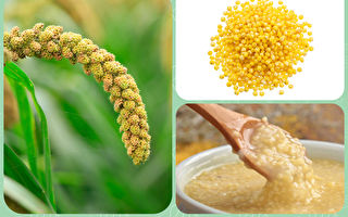 小米怎么吃？小米油最养人 6步煮出小米粥油