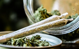 台湾网红九妹、蕾菈等10人持大麻 遭法办
