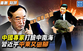 【秦鹏观察】中以关系倒退 专家打脸中南海