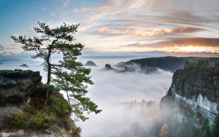 只羡鸳鸯齐升仙 书仙曹文姬传奇