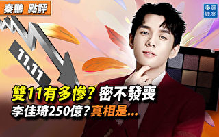 【秦鹏观察】双11有多惨？整体“密不发丧”