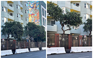 旧金山APEC峰会 海外多团体抗议中共