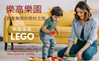 乐高乐园：创意无限的奇妙之旅