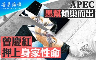 【菁英论坛】黑帮APEC峰会施暴 背后谁指使