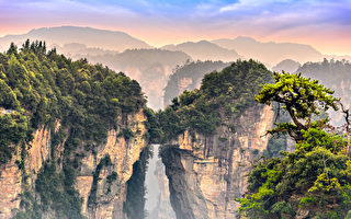 诗：生命，都在出演着自己的角色