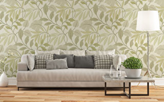 不能粉刷公寓？试试替代油漆的五种方法