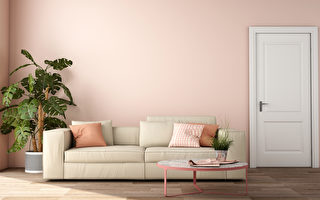 装修就看门面！四大门建材城提供性价比好门