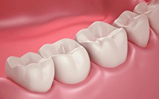 日本科学家成功研制新药 可刺激新牙生长