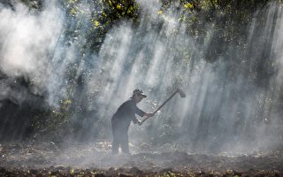 贵州00后独自隐居山林 否认“躺平”