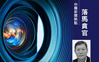 上任半年 中共国税总局稽查副局长林枫被查