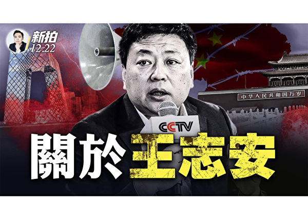 【拍案惊奇】关于前央视记者王志安