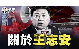 【拍案惊奇】关于前央视记者王志安