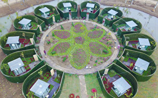 “厕所革命”成官员捞钱工具?云南万余厕所涉假