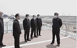 空荡荡的雄安新区 “千年大计”成笑话？