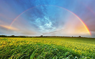 两个小故事：不经意的小事也能传递善良