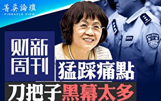 【菁英论坛】财新猛踩痛点 刀把子黑幕太多