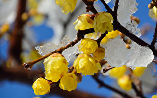 黄历十二月为何称为“腊月”？“腊”展现什么文化内涵？