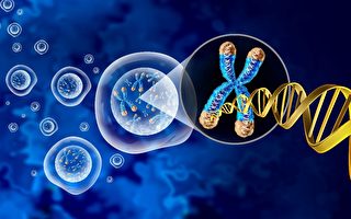 逆龄20岁？哈佛教授抗老秘诀：NMN营养素