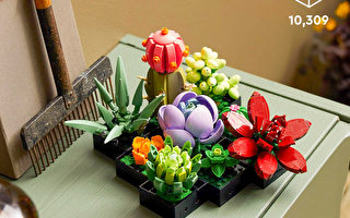 更新：乐高植物 玫瑰花随愿创意构建 家具装饰 有优惠